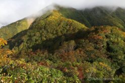 EOS5DsR+EF24-70mmF2.8LⅡUSM 24mm f11 1/25sec ISO100 PLフィルター