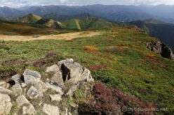 EOS5DsR+EF16-35mmF4L IS USM 20mm f16 1/25sec ISO100 PLフィルター