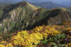 EOS5DsR+EF24-70mmF2.8LⅡUSM 38mm f16 1/25sec ISO100 PLフィルター