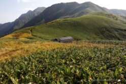 EOS5DsR+EF24-70mmF2.8LⅡUSM 30mm f16 1/20sec ISO100 PLフィルター