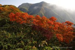 EOS5DsR+EF24-70mmF2.8LⅡUSM 30mm f16 1/15sec ISO100 PLフィルター