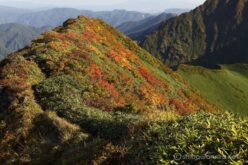 EOS5DsR+EF24-70mmF2.8LⅡUSM 44mm f16 1/15sec ISO100 PLフィルター