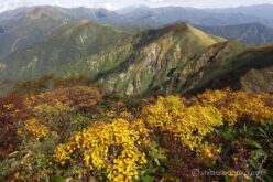 EOS5DsR+EF24-70mmF2.8LⅡUSM 24mm f16 1/20sec ISO100 PLフィルター