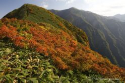 EOS5DsR+EF24-70mmF2.8LⅡUSM 24mm f16 1/25sec ISO100 PLフィルター