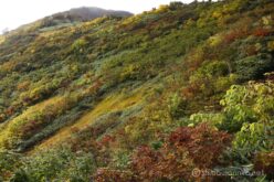 EOS5DsR+EF24-70mmF2.8LⅡUSM 44mm f16 1/13sec ISO100 PLフィルター