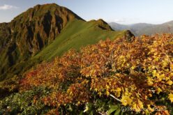 EOS5DsR+EF16-35mmF4L IS USM 23mm f16 1/15sec ISO100 PLフィルター