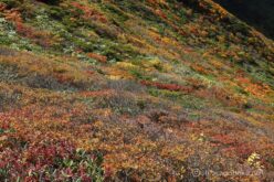 EOS5DsR+EF24-70mmF2.8LⅡUSM 53mm f16 1/15sec ISO100 PLフィルター