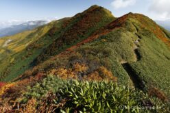 EOS5DsR+EF16-35mmF4L IS USM 16mm f16 1/20sec ISO100 PLフィルター