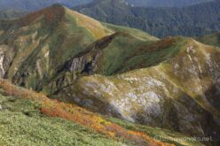 EOS5DsR+EF24-70mmF2.8LⅡUSM 70mm f16 1/25sec ISO100 PLフィルター