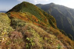 EOS5DsR+EF24-70mmF2.8LⅡUSM 24mm f16 1/20sec ISO100 PLフィルター