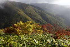 EOS5DsR+EF24-70mmF2.8LⅡUSM 38mm f16 1/15sec ISO100 PLフィルター