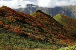 EOS5DsR+EF24-70mmF2.8LⅡUSM 53mm f16 1/20sec ISO100 PLフィルター