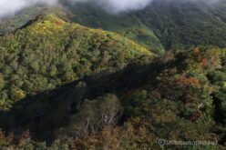 EOS5DsR+EF24-70mmF2.8LⅡUSM 42mm f11 1/25sec ISO100 PLフィルター