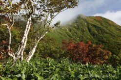 EOS5DsR+EF24-70mmF2.8LⅡUSM 35mm f16 1/25sec ISO100 PLフィルター