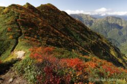 EOS5DsR+EF16-35mmF4L IS USM 20mm f16 1/13sec ISO100 PLフィルター