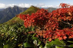 EOS5DsR+EF16-35mmF4L IS USM 20mm f16 1/20sec ISO100 PLフィルター