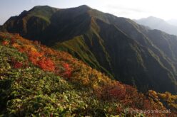 EOS5DsR+EF24-70mmF2.8LⅡUSM 24mm f16 1/20sec ISO100 PLフィルター
