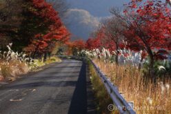 EOS5DsR+EF100-400mmF4.5-5.6L ISⅡUSM 100mm f16 1/10sec ISO100 PLフィルター