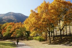 EOS5D MarkⅡ+EF24-105mmF4L IS USM 40mm f16 1/10sec ISO200 PLフィルター