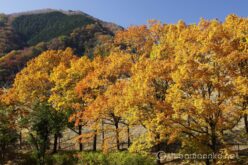 EOS5D MarkⅡ+EF24-105mmF4L IS USM 55mm f16 1/20sec ISO200 PLフィルター