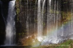 EOS5DsR+EF100-400mmF4.5-5.6L ISⅡUSM 182mm f16 1/25sec ISO100 PLフィルター