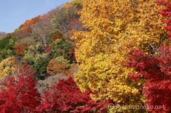 EOS5D MarkⅡ+EF24-105mmF4L IS USM 70mm f16 1/15sec ISO200 PLフィルター