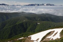 EOS5D MarkⅡ+EF24-105mmF4L IS USM 55mm f11 1/90sec ISO200 PLフィルター