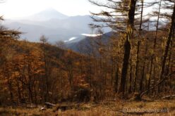 EOS5DsR+EF24-70mmF2.8LⅡUSM 31mm f16 1/25sec ISO100 PLフィルター