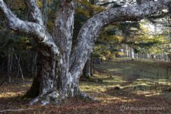 EOS5DsR+EF24-70mmF2.8LⅡUSM 65mm f16 1sec ISO100 PLフィルター