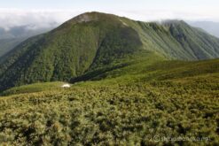 EOS5D MarkⅡ+EF24-105mmF4L IS USM 24mm f16 1/15sec ISO200 PLフィルター