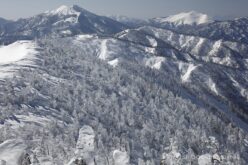 EOS5DsR+EF24-70mmF2.8LⅡUSM 70mm f11 1/200sec ISO100 PLフィルター