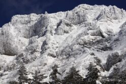 EOS5DsR+EF100-400mmF4.5-5.6L ISⅡUSM 170mm f11 1/200sec ISO100 PLフィルター