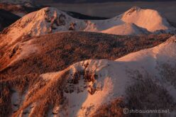 EOS5DsR+EF100-400mmF4.5-5.6L ISⅡUSM 263mm f8 1/15sec ISO100 PLフィルター