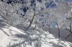 EOS5DsR+EF24-70mmF2.8LⅡUSM 24mm f16 1/100sec ISO100 PLフィルター