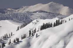 EOS5DsR+EF100-400mmF4.5-5.6L ISⅡUSM 278mm f11 1/200sec ISO100 PLフィルター