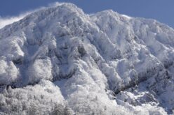 EOS5DsR+EF100-400mmF4.5-5.6L ISⅡUSM 120mm f11 1/80sec ISO100 PLフィルター