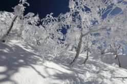 EOS5DsR+EF24-70mmF2.8LⅡUSM 24mm f16 1/100sec ISO100 PLフィルター
