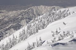 EOS5DsR+EF100-400mmF4.5-5.6L ISⅡUSM 278mm f16 1/100sec ISO100 PLフィルター