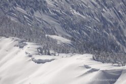 EOS5DsR+EF100-400mmF4.5-5.6L ISⅡUSM 400mm f11 1/200sec ISO100 PLフィルター