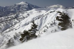 EOS5DsR+EF24-70mmF2.8LⅡUSM 70mm f16 1/60sec ISO100 PLフィルター