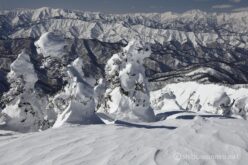 EOS5DsR+EF24-70mmF2.8LⅡUSM 44mm f16 1/125sec ISO100 PLフィルター