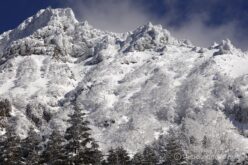 EOS5DsR+EF100-400mmF4.5-5.6L ISⅡUSM 124mm f11 1/125sec ISO100 PLフィルター