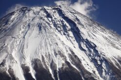 EOS5DsR+EF100-400mmF4.5-5.6L ISⅡUSM 312mm f8 1/200sec ISO100 PLフィルター