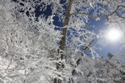 EOS5DsR+EF24-70mmF2.8LⅡUSM 24mm f11 1/250sec ISO100 PLフィルター