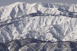 EOS5DsR+EF100-400mmF4.5-5.6L ISⅡUSM 200mm f8 1/320sec ISO100 PLフィルター