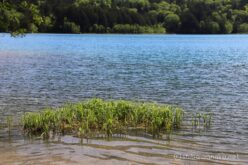 EOS5D MarkⅡ+EF24-105mmF4L IS USM 70mm f8 1/90sec ISO200 PLフィルター