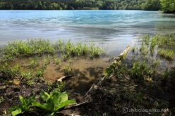 EOS5D MarkⅡ+EF24-105mmF4L IS USM 24mm f16 1/15sec ISO200 PLフィルター