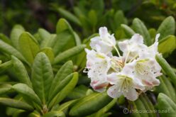 EOS5D MarkⅡ+EF24-105mmF4L IS USM 105mm f16 1/15sec ISO200 PLフィルター