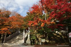 EOS5DsR+EF24-70mmF2.8LⅡUSM 24mm f11 1/20sec ISO100 PLフィルター