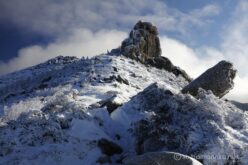 EOS5DsR+EF24-70mmF2.8LⅡUSM 35mm f11 1/125sec ISO100 PLフィルター